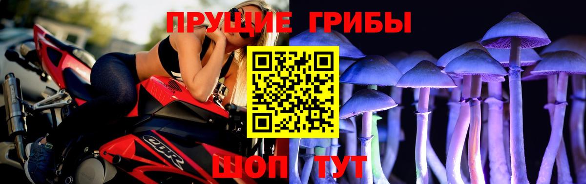 Псилоцибиновые грибы Magic Shrooms  Вход с VPN  Псилоцибиновые грибы GOLDEN TEACHER  Златоуст 