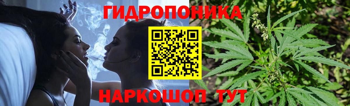 Шишки марихуана ГИДРОПОН  Шишки марихуана OG Kush  Вход с VPN  Златоуст  Канабис THC 21%  Шишки марихуана планчик 
